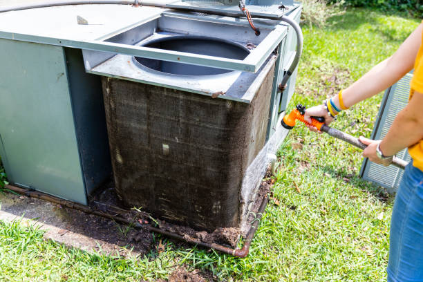 Best Dryer Vent Cleaning Services  in Davis Junction, IL
