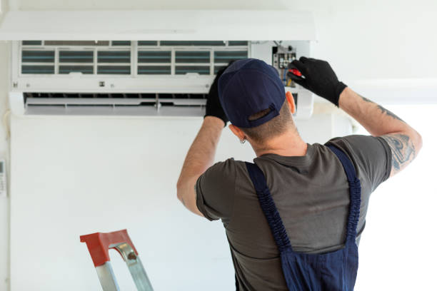 Best HVAC Duct Inspection Services  in Davis Junction, IL