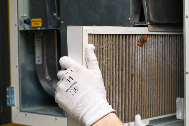 Best Best Air Duct Cleaning Company  in Davis Junction, IL