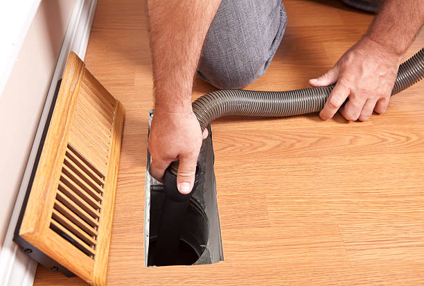 Best Home Air Vent Cleaning  in Davis Junction, IL