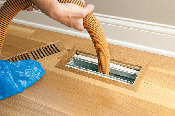 Best Local Air Duct Cleaning Services  in Davis Junction, IL