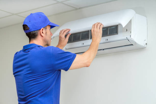 Best Air Duct Cleaning Near Me  in Davis Junction, IL