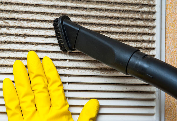 Best HVAC Air Duct Cleaning  in Davis Junction, IL
